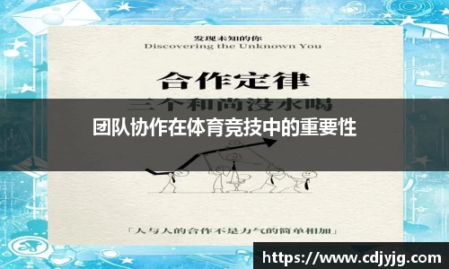 团队协作在体育竞技中的重要性